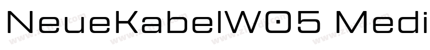 NeueKabelW05 Medium字体转换